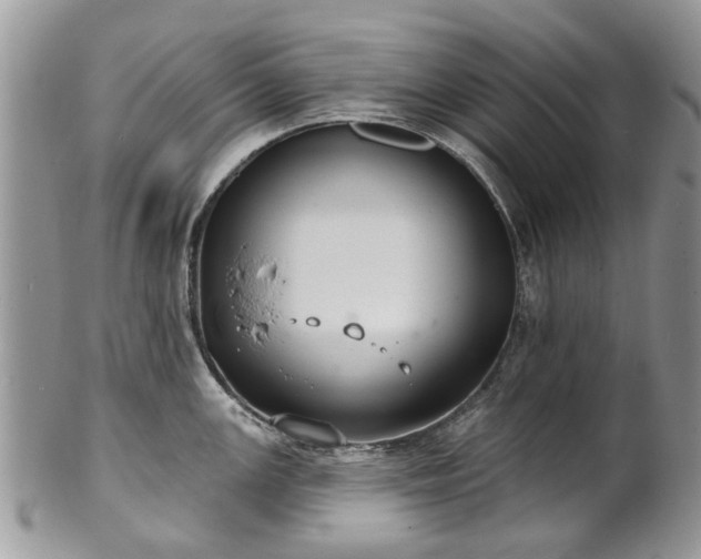 X0000101981147200807251228