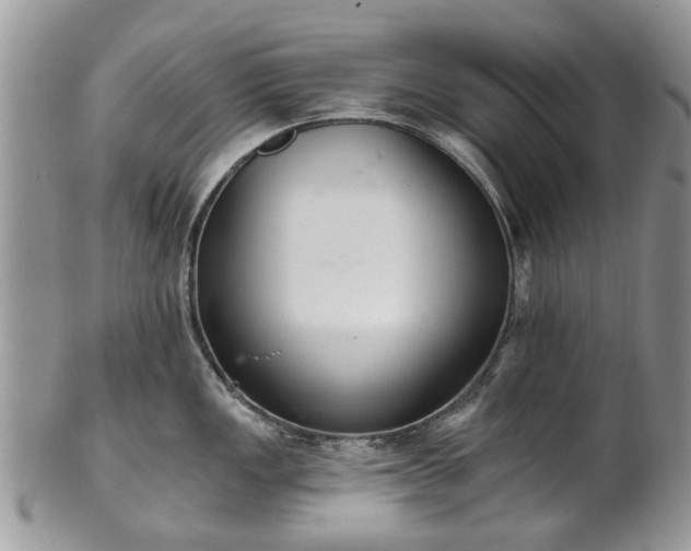 X0000101981149200807251228