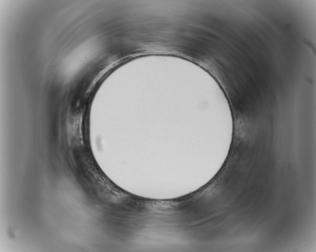 X0000101981150200807251228