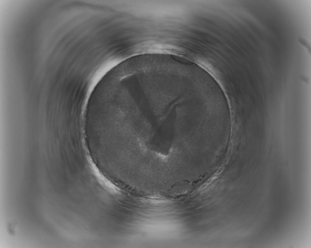 X0000101981152200807251228