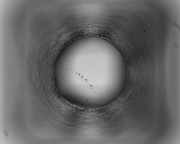 X0000101981153200807251227