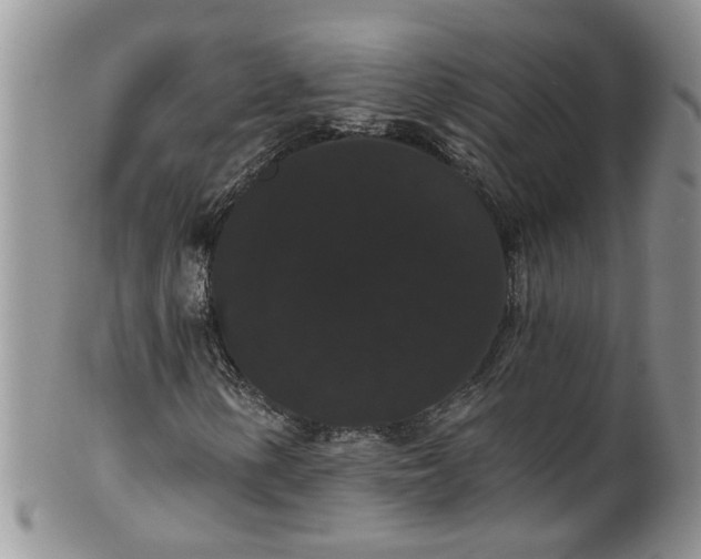 X0000101981154200807251227