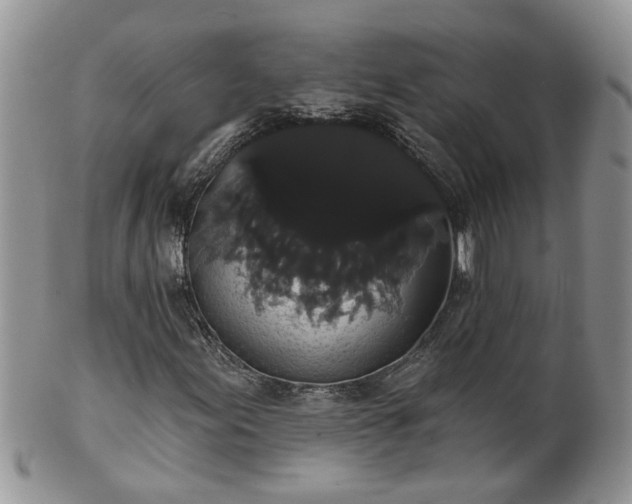 X0000101981155200807251227