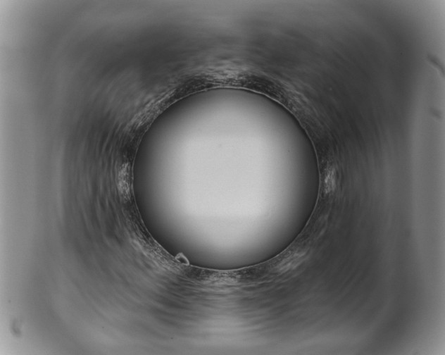 X0000101981156200807251227