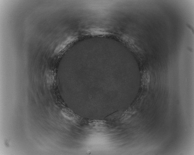 X0000101981157200807251227