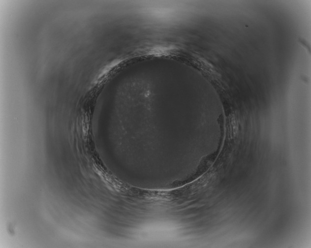 X0000101981158200807251227