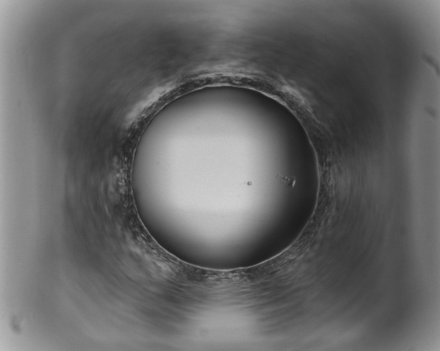 X0000101981159200807251227