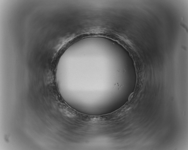 X0000101981160200807251227