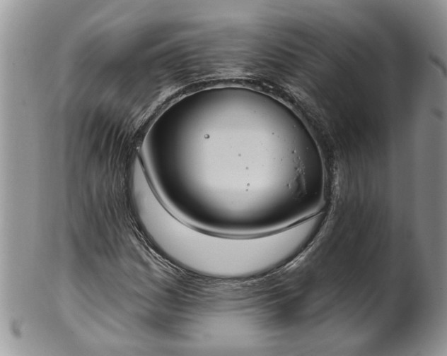 X0000101981161200807251227