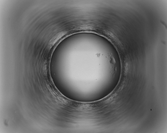 X0000101981162200807251227