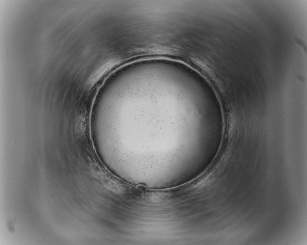 X0000101981163200807251227