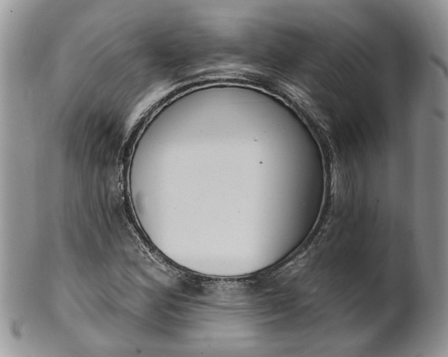 X0000101981164200807251227