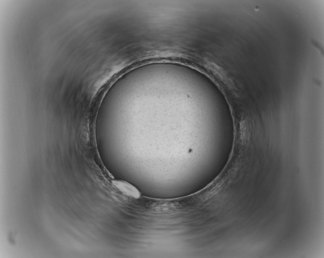 X0000101981165200807251227