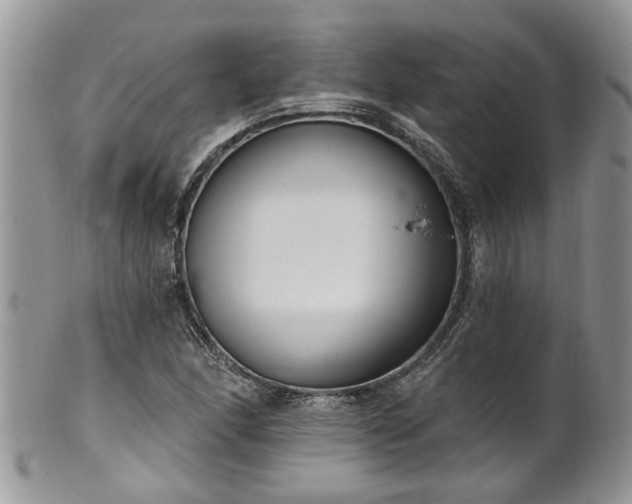 X0000101981166200807251227