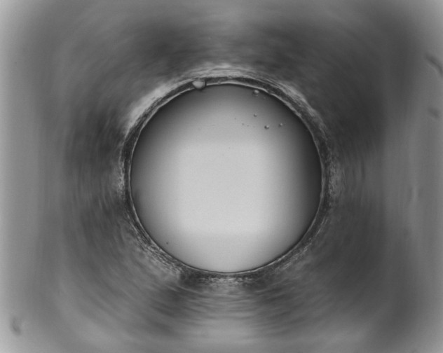 X0000101981167200807251227