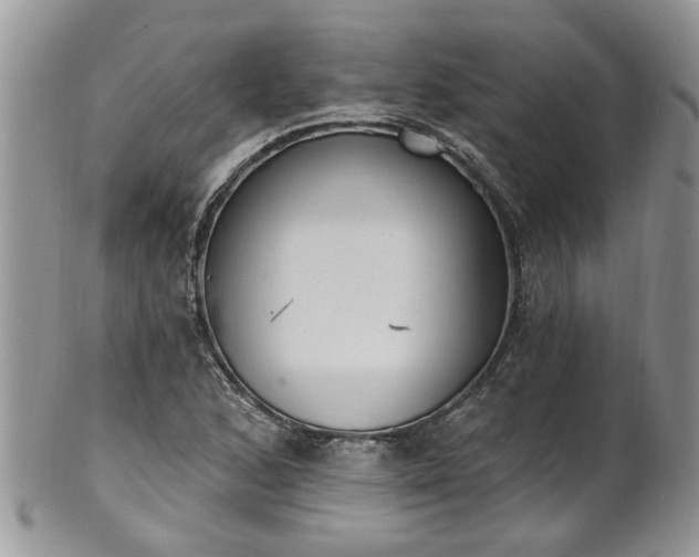 X0000101981168200807251227