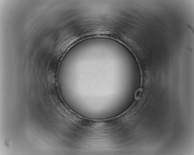 X0000101981169200807251227