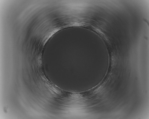 X0000101981170200807251227