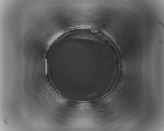 X0000101981171200807251227