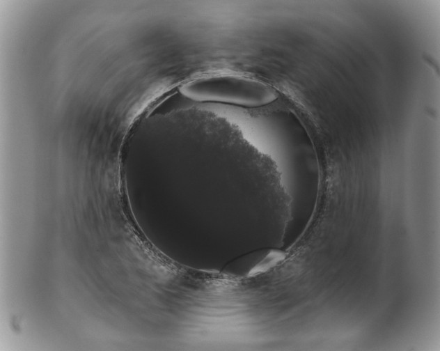 X0000101981173200807251227