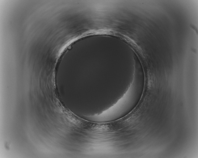 X0000101981174200807251227