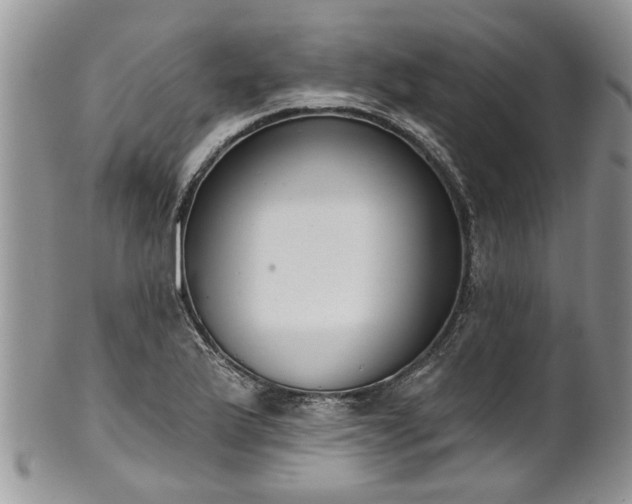 X0000101981175200807251227