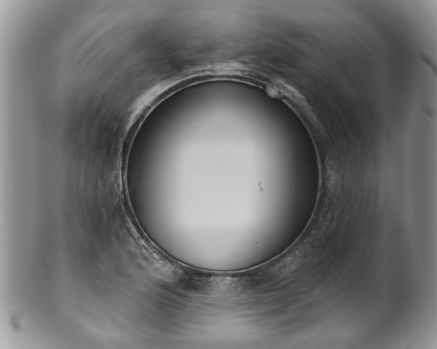 X0000101981176200807251227