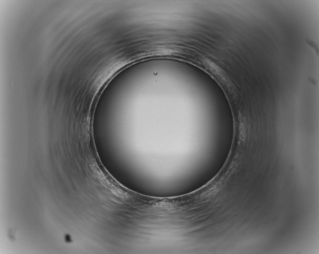 X0000101981178200807251227