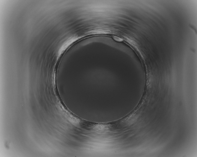 X0000101981179200807251227