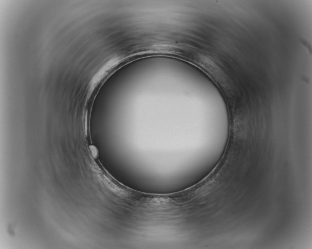 X0000101981180200807251227