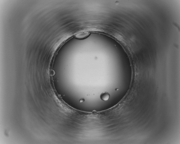 X0000101981181200807251227