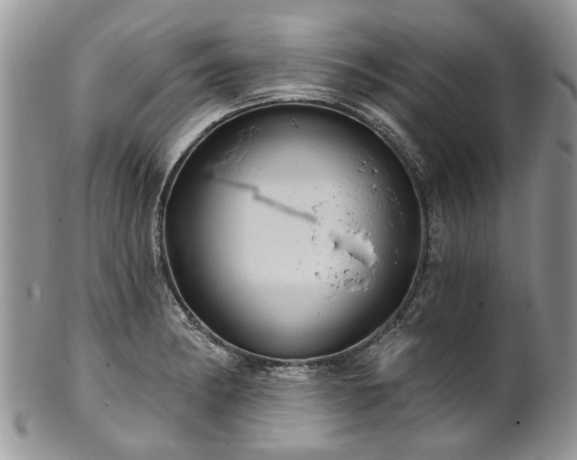 X0000101981182200807251227