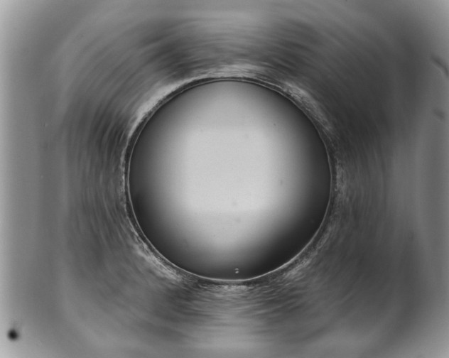 X0000101981184200807251227