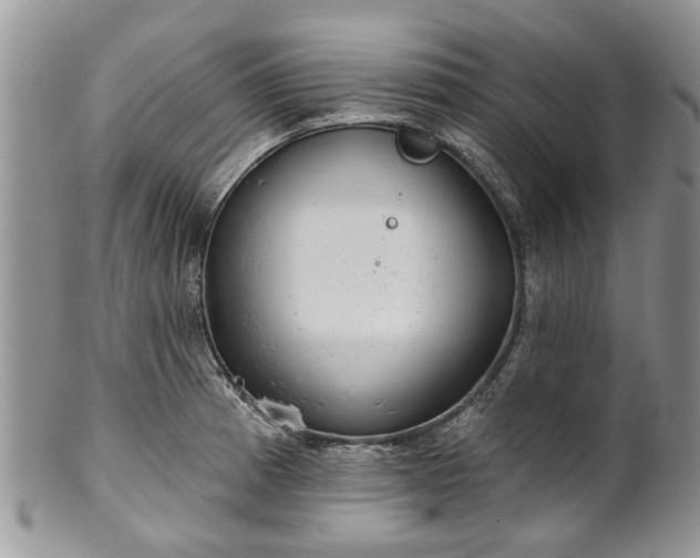 X0000101981185200807251227