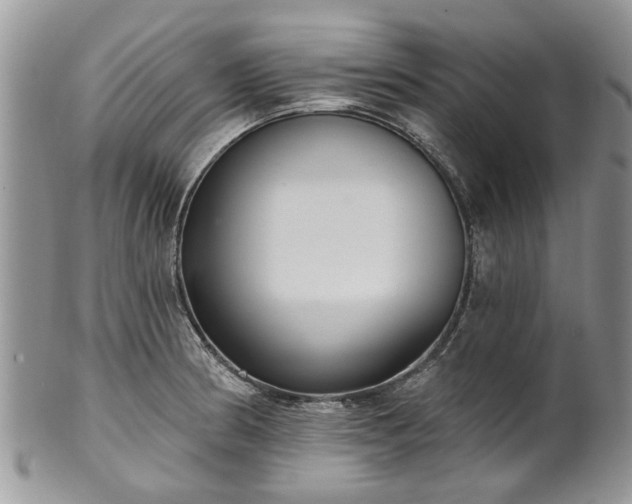 X0000101981186200807251227