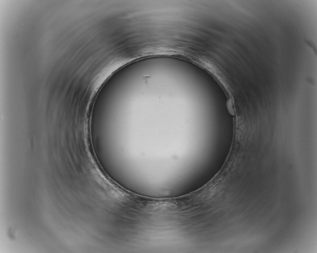 X0000101981187200807251227