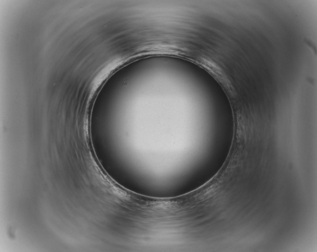 X0000101981188200807251227