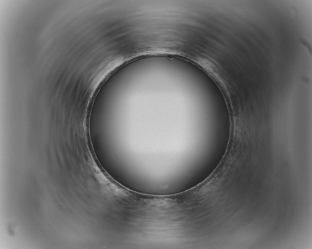 X0000101981189200807251227