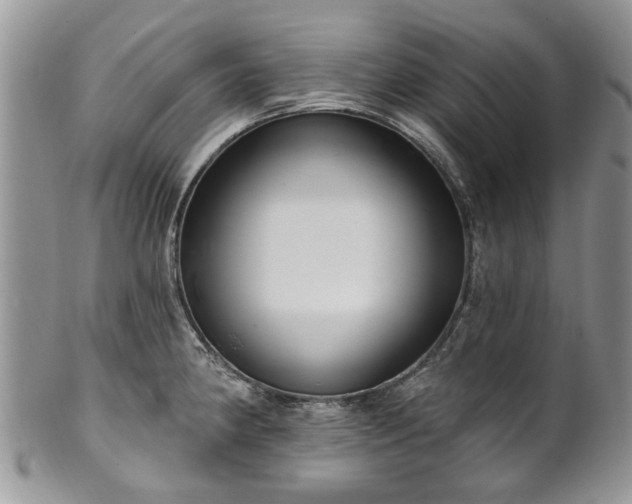 X0000101981190200807251227