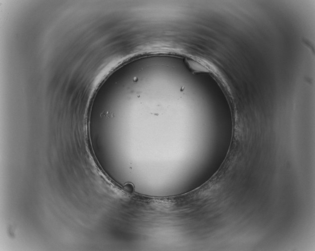 X0000101981191200807251227