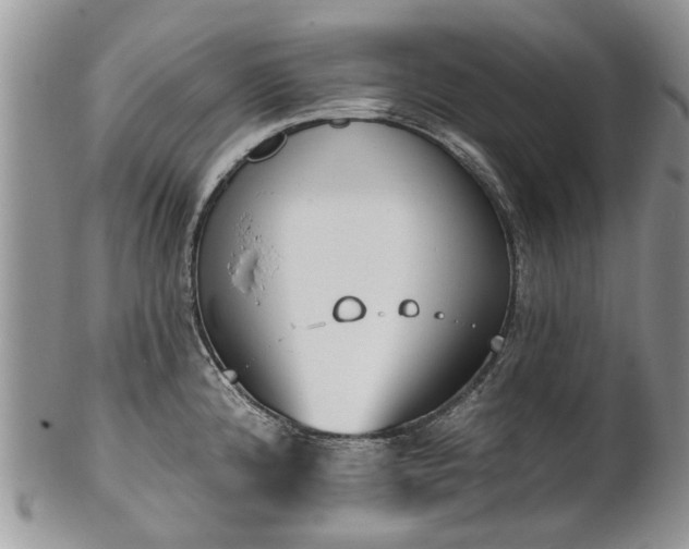 X0000101981192200807251227