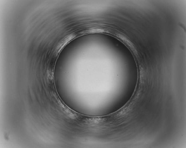 X0000101981193200807251227