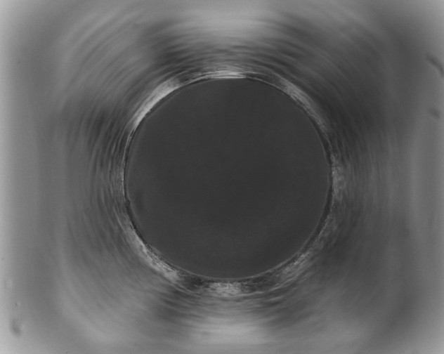 X0000101981194200807251227