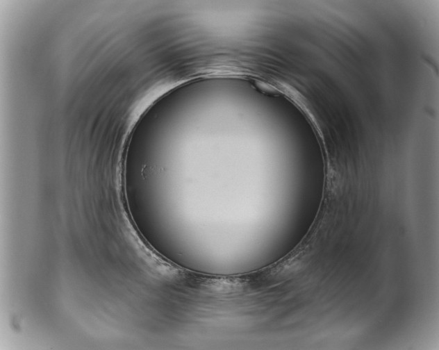 X0000101981195200807251227