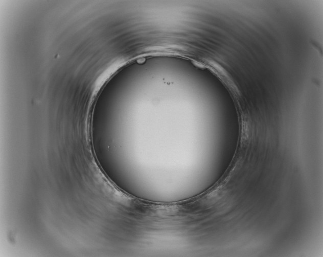 X0000101981196200807251227