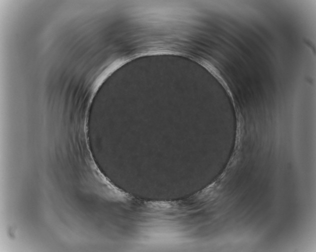 X0000101981197200807251226