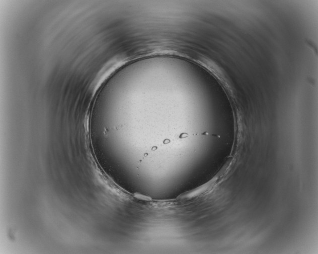 X0000101981198200807251226