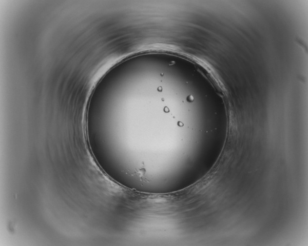 X0000101981199200807251226