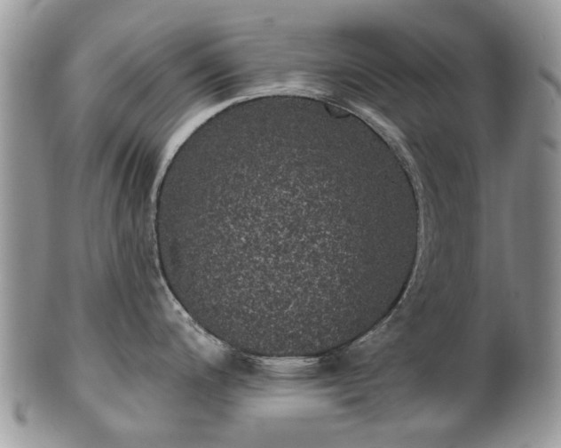 X0000101981200200807251226