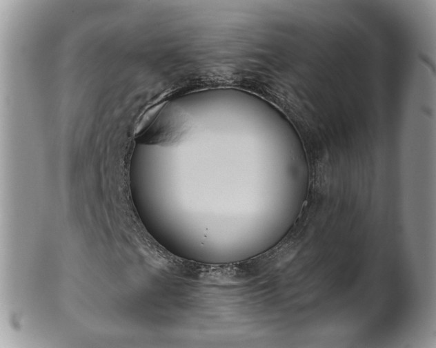 X0000101981201200807251226